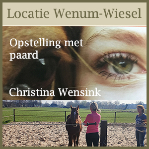 Opstelling_met_paard1 Opstelling met paard- Christina Wensink - Bewustzijnstheater