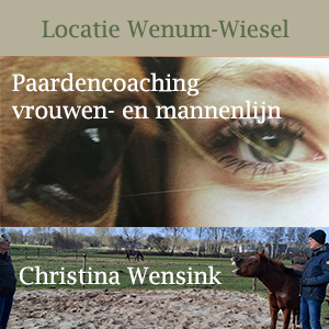 Paardencoaching vrouwen-en mannenlijn - Christina Wensink 08-02