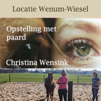 Opstelling met paard - Christina Wensink 30-05