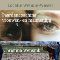 Paardencoaching vrouwen-en mannenlijn - Christina Wensink 08-02